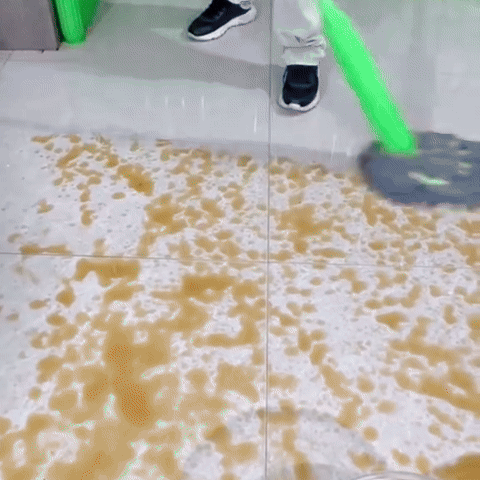 Klaris™ Pro - Paslanmaz Çelik Gövdeli Kendinden Sıkmalı Yeni Nesil Mop